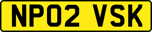 NP02VSK
