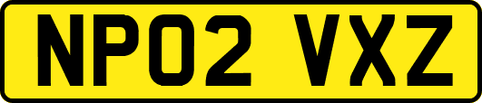 NP02VXZ