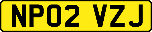 NP02VZJ