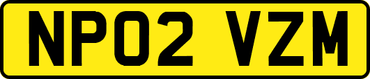 NP02VZM