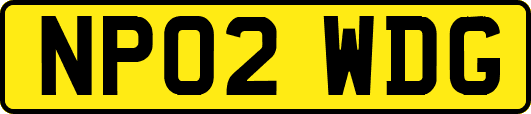 NP02WDG