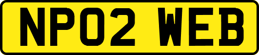 NP02WEB