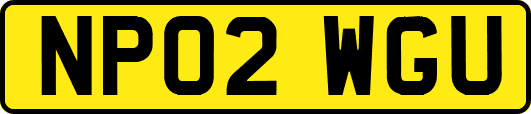 NP02WGU