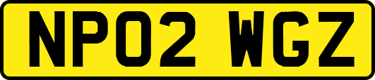 NP02WGZ