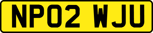 NP02WJU
