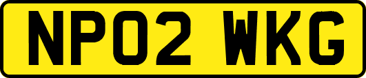 NP02WKG