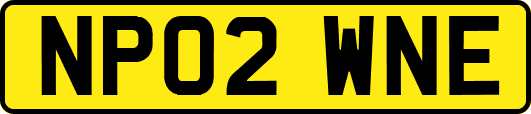 NP02WNE