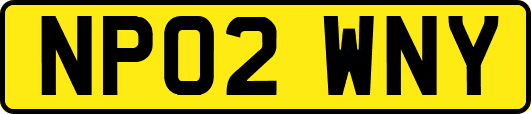 NP02WNY