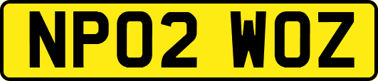 NP02WOZ