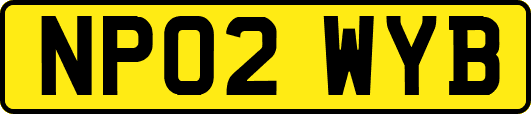 NP02WYB