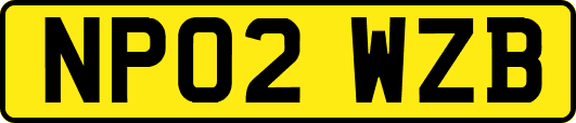 NP02WZB