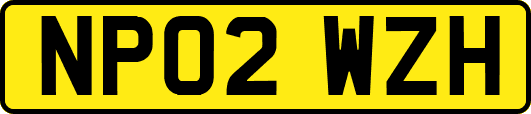 NP02WZH