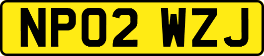 NP02WZJ