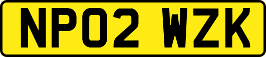 NP02WZK