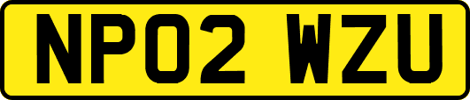 NP02WZU