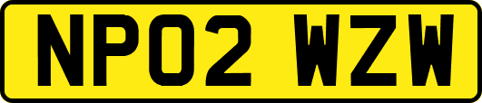 NP02WZW