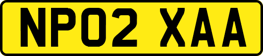 NP02XAA
