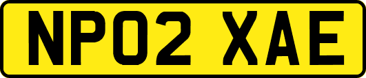 NP02XAE
