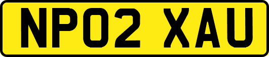 NP02XAU