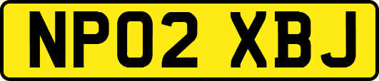 NP02XBJ