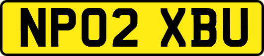 NP02XBU