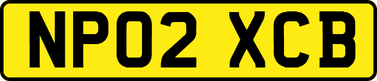 NP02XCB