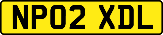 NP02XDL