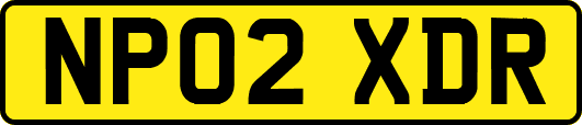 NP02XDR