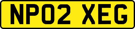 NP02XEG