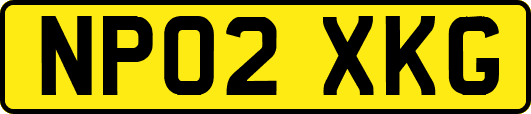 NP02XKG
