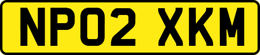 NP02XKM