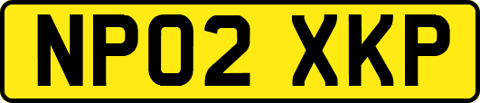NP02XKP