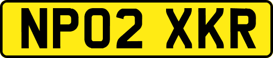 NP02XKR