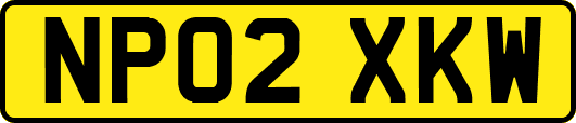 NP02XKW