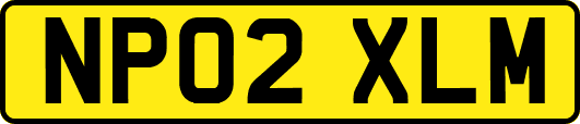NP02XLM