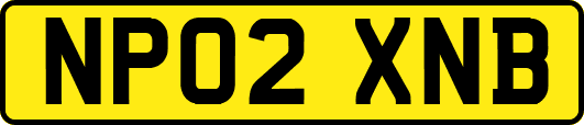 NP02XNB