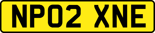 NP02XNE