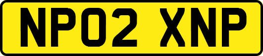 NP02XNP