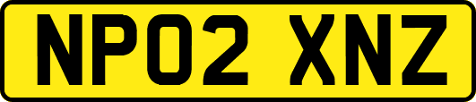 NP02XNZ