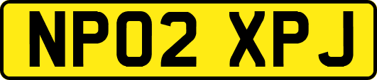 NP02XPJ