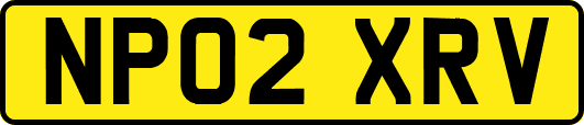 NP02XRV