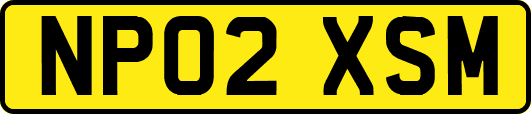 NP02XSM