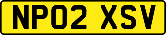 NP02XSV