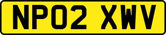 NP02XWV