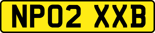 NP02XXB