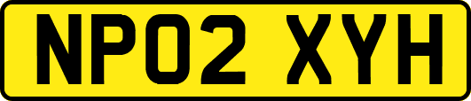NP02XYH