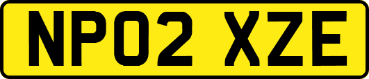 NP02XZE