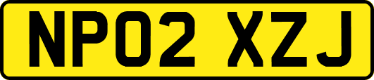 NP02XZJ