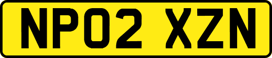 NP02XZN