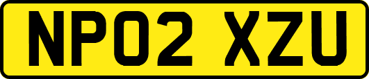 NP02XZU
